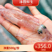 YONFGES东山小管野鲜鱿鱼红鱿肉厚饱满船钓泳丰鲜生鲜活生鲜鱿鱼新鲜水产海鲜速冻海兔子净重500g 5袋装（500g/份）