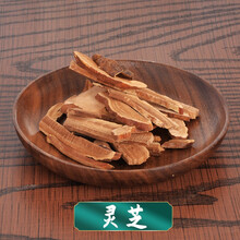 灵芝(6g）抓中药材 药房发货 中药饮片 可代煎 联系客服 6g