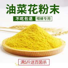 祉鹿 油菜花粉喂蜂养蜂专用优质天然蜜蜂花粉饲料颗粒中蜂花粉末青海养蜂粮 油菜花粉末 一斤装