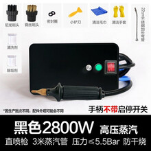 蒸汽清洁机高温高压一体机家用空调商用油烟机家电清洗多功能工具旦榄 黑色 3000w电控枪+工具箱【可过火碱】