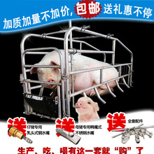 落地式母猪产床定位栏限位栏简易产床单个猪位一个栏位养猪设备 2.0落地式栏位(60宽度)