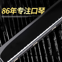 口琴国光24/28孔复音重音c调宽音域口琴初学者入门学生专业演奏级TX 24孔复音梦境黑【复音】