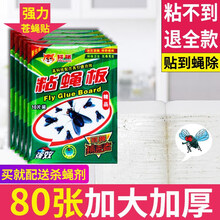 粘苍蝇纸大号 苍蝇贴自带诱饵粘蝇纸大号挂粘绳强力诱蝇粘蝇胶力灭蝇纸捕蝇 60片 自带诱蝇剂