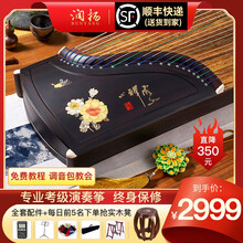 润扬古筝 专业演奏古筝初学者入门考级10级筝彩贝螺细桐木扬州乐器 蝶恋花-【考级演奏筝+全套配件】