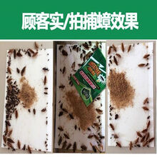 绿叶蟑螂药蟑螂粘板蟑螂贴蟑螂屋蟑螂捕捉器灭蟑螂环保全窝端 蟑螂粘板5张和5包引诱剂