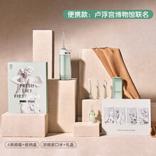 小米素士电动冲牙器家用洗牙器便携式水牙线牙齿清洁口腔护理正畸 W青柠绿套装【卢浮宫联名款】 水容量150ml