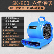 吹地机吹干机大功率商用家用地毯烘干机厕所地板地面吹风机 标努 SK800 家用商用款1000w