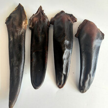 鹿尾巴干60g 鹿尾整枝干鹿尾吉林梅花鹿正宗泡酒东北双阳鹿乡 梅花鹿干鹿尾巴100克以上