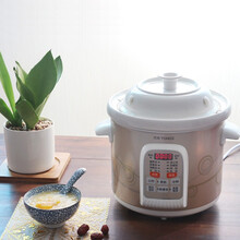 天际（TONZE）电炖锅快炖 家用全自动2/3/4/5升电炖盅煲汤锅 炖汤锅 煮粥锅 陶瓷内胆cwd 3升容量 DGD30-30CWD
