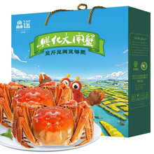 【兴化馆】兴化大闸蟹 鲜活螃蟹 现货 六月黄大闸蟹2.2-2.5两 8只装