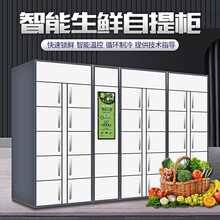 宝德鲁智能保鲜蔬菜生鲜柜冰鲜冷冻配送自提柜自动售货贩卖机寄存柜厂家 智能生鲜柜logo定制