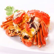 【活蟹】大闸蟹鲜活螃蟹活体特大现货礼盒海鲜水产蟹类 惟纳德 (全母2.5-2.0两)10只