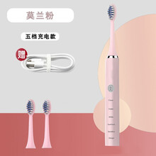 舒欣特电动.牙刷磁悬浮感应冲男女成人充电式软毛声波自动 樱花粉充电版【贈USB线】3个刷头
