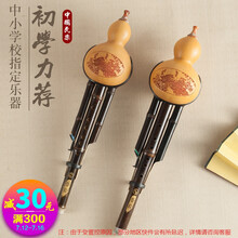 葫芦丝 初学者练习级葫芦丝演奏型乐器初学儿童小学生防摔双音胡芦丝爵士森乐器 紫竹防摔款降B+皮盒+教材书