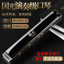 上海国光28孔口琴进口音簧儿童初学成人入门复音口琴专业演奏级口琴重音C调28孔款音域口琴乐器中老年 专业演奏复音黑色（学习礼包）