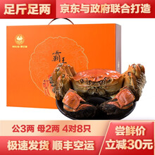 【活蟹 去绳净重】宿有千香大闸蟹 洪泽湖大闸蟹生鲜现货 鲜活螃蟹礼盒 生鲜骆马湖河蟹实物6月黄促销 公3两 母2两 4对8只