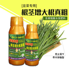 韭菜专用根茎根真粗叶面肥植物生长调节剂生根壮苗韭菜专用肥 3瓶【200克/瓶】
