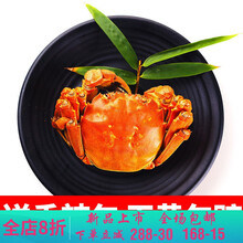 【活鲜】大闸蟹特大螃蟹六月黄礼盒鲜活现货3.5-1.5两 莫尔加德 (2.0-1.5两)12只