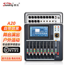 SoundkingA20/DM20数字调音台专业直播舞台效果混音器带效果混响均衡 官方标配（A20）