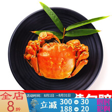 【活鲜】顺丰速递 螃蟹大闸蟹特大海鲜活物鲜活小螃蟹六月黄公母蟹22只苏州产地直发 塔布莫特 鲜活蟹(2.0-2.4两)16只