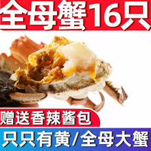 大闸蟹鲜活特大全公母蟹螃蟹六月黄现货礼盒装海鲜水产0.8-3.5两 全母)2-2.5两16只