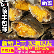 【活鲜】大闸蟹全母鲜活满黄螃蟹河蟹海鲜水产蟹类 索维奥 二元蟹20只+10只