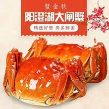 【礼券】蟹金秋 澄湖大闸蟹礼盒 生鲜海鲜水产提货卡券 中秋海鲜大礼包公司团购员工福利客户送礼 蟹金秋3699型