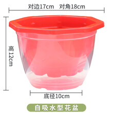 沃绣 绿萝花盆带储水盆双层树脂套盆塑料兰花盆圆形吊挂花盆懒人吊兰盆 180花盆+透明罩+棉绳 大