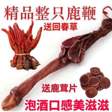 鹿鞭整根 吉林鹿鞭整根带证鹿鞭料男性鹿鞭片鹿鞭料滋补养生鹿茸片泡酒蜡片正宗梅花鹿鞭药酒配方材料 整根鹿鞭[80克左右]送回春草鹿
