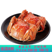 【活鲜】大闸蟹鲜活特大现货六月黄全母公螃蟹满黄3.4-0.8两 莫尔加德 【】2.0-1.5两12只
