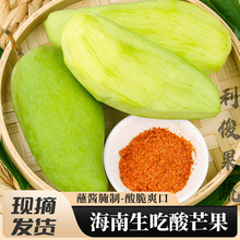 青惠悠【海南生吃酸芒果】蘸酱腌制脆绿青象牙芒果无核孕妇酸野水果整箱 酸芒果-1斤装试吃