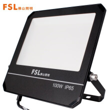 FSL家用庭院灯户外防水LED投光灯高亮路灯泛光灯射灯100W白光FG128