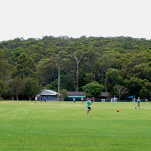 （正常发货）滨淇草种子草籽草坪种子四季青果岭草球场别墅庭院护坡耐寒旱耐践踏不修剪园林绿化工程 狗牙根净子