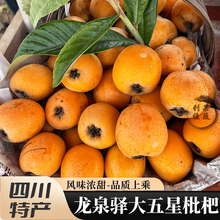 青惠悠正宗四川龙泉驿大五星枇杷新鲜水果现摘山琵琶果仁寿汉源成都特产 5斤【精选中果25g+】