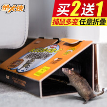金大侠老鼠贴粘鼠板老鼠捕鼠器抓老鼠物理灭鼠 6张装