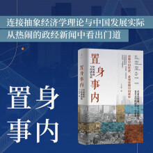 置身事内：中国政府与经济发展  兰小欢 著  世纪文景