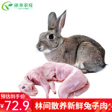 云依禾农庄 兔肉白条兔子肉整只新鲜现宰兔子 净重1kg 兔肉生鲜