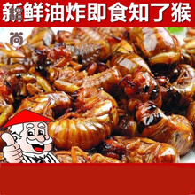 乐佳萱山东沂蒙山特产金蝉知了猴新鲜代油炸即食现炸熟食20只100只 孜然味 30只