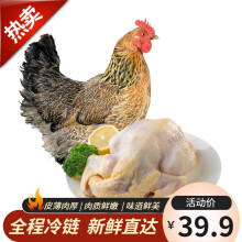 云依禾农庄 农家土鸡老母鸡新鲜200天 整鸡 净重1kg/只 生鲜整只