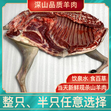 正宗农家散养整只土黑山羊肉新鲜带皮羊肋排 羊腿 生鲜羊排骨羊腩 整只山羊约40斤【少退多补】