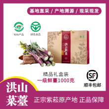【原产地洪山菜苔】湖北武汉特产 紫菘一级鲜菜薹礼盒1000克精品 正宗原产地一级洪山菜苔1500克