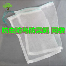 防虫网防虫袋 瓜果防果蝇防鸟袋滤网浸种 葡萄水果套袋 尼龙网袋 70*48CM