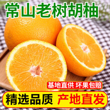 良知农哥常山新鲜胡柚 柚子 【实惠果】5斤 100-110mm