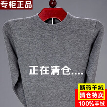 浙江嘉兴桐乡羊毛绒衫男100%清河山羊绒秋冬季厚款保暖打底羊毛衫 半高领/上青 180码建议156-176斤