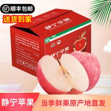 陇原红【顺丰包邮】静宁苹果一级果甘肃红富士苹果水果新鲜时令应季整箱 20枚75中果净重8.5斤