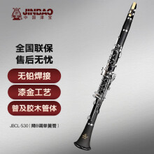 津宝单簧管乐器JBCL-530 专业学生儿童成人初学考级演奏降b调黑管乐器