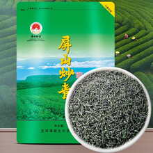 酒都2025新茶碧松针绿茶明前屏山炒青四川宜宾早茶高山100g袋装 500g