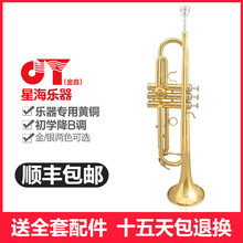 金音乐器小号降B调JYTR-E100G漆金黄铜小号乐器双色可选乐队演奏乐器成人学生初学入门专业演奏 E100G（金色）