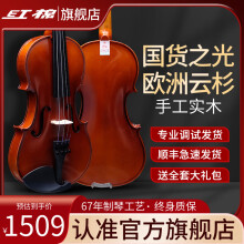 红棉（Kapok）手工实木虎纹小提琴S-50儿童练习提琴专业演奏级大学生儿童成人 4/4 身高150以上 S-50【旗舰款】调试发货
