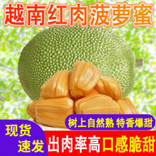 越南红肉菠萝蜜进口红心菠萝蜜一整个大果新鲜正宗热带生鲜水果 红肉菠萝蜜8-10斤【精选装】